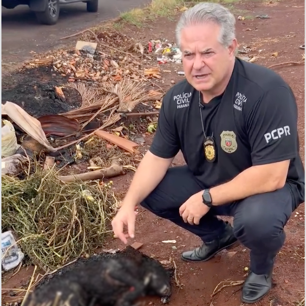 Caso brutal de maus-tratos choca agentes da Polícia Civil